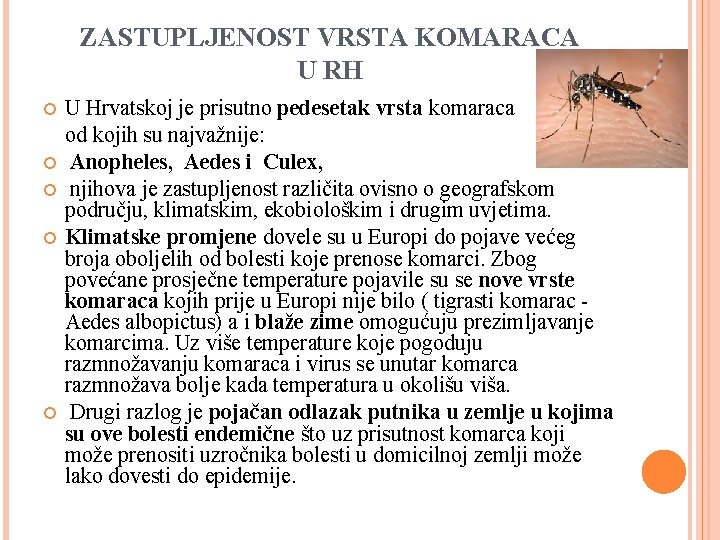 ZASTUPLJENOST VRSTA KOMARACA U RH U Hrvatskoj je prisutno pedesetak vrsta komaraca od kojih