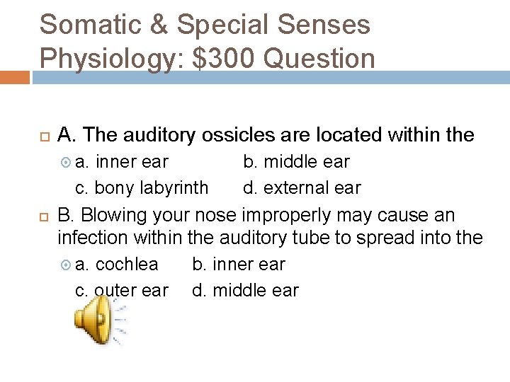 Somatic & Special Senses Physiology: $300 Question A. The auditory ossicles are located within