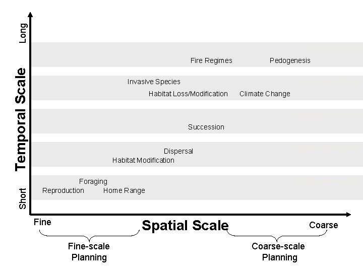 Long Natural Processes Short Temporal Scale Fire Regimes Pedogenesis Invasive Species Conservation Threats Habitat