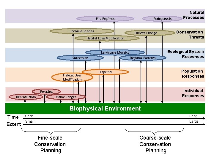 Fire Regimes Invasive Species Pedogenesis Conservation Threats Climate Change Habitat Loss/Modification Landscape Mosaics Succession