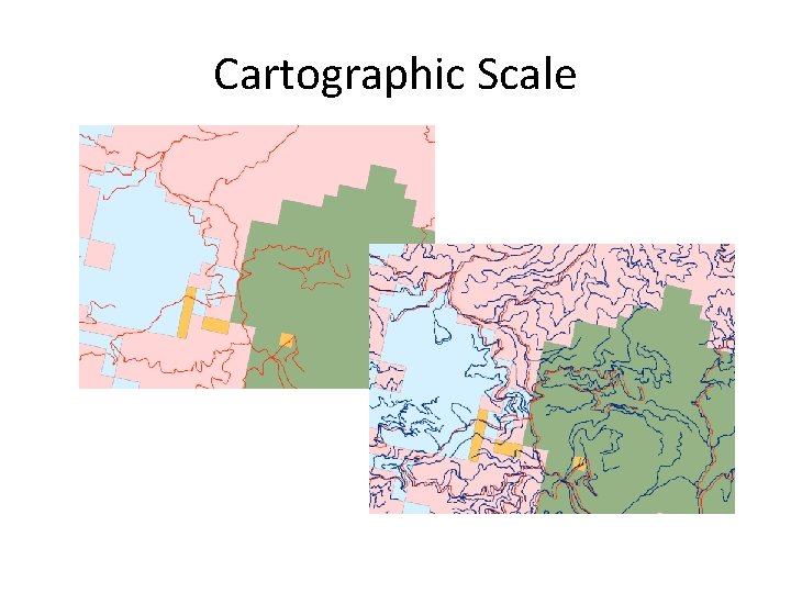 Cartographic Scale 