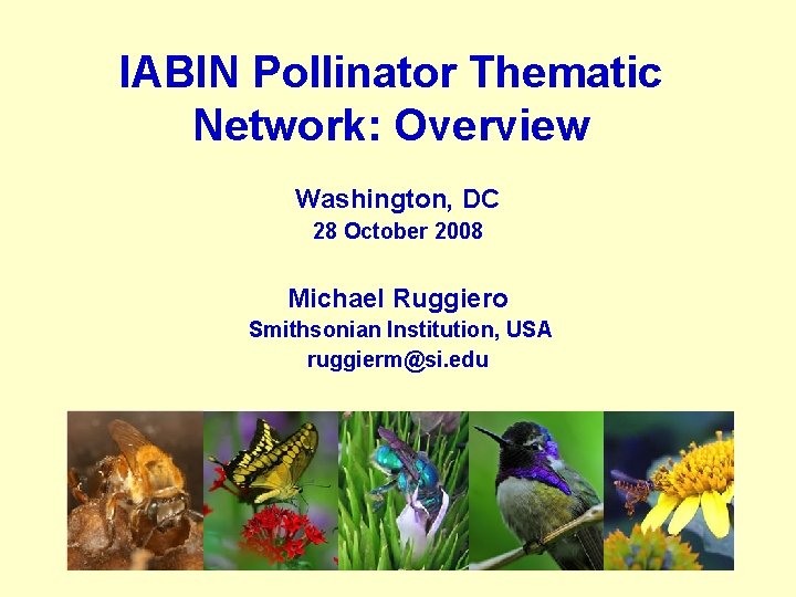IABIN Pollinator Thematic Network: Overview Washington, DC 28 October 2008 Michael Ruggiero Smithsonian Institution,