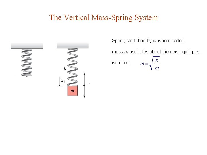 The Vertical Mass-Spring System Spring stretched by x 1 when loaded. mass m oscillates