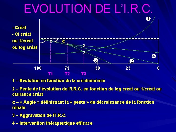 EVOLUTION DE L’I. R. C. - Créat - Cl créat ou 1/créat ou log
