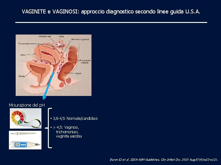 VAGINITE e VAGINOSI: approccio diagnostico secondo linee guida U. S. A. Misurazione del p.