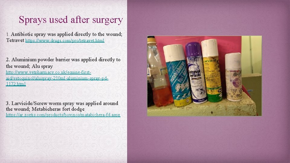Sprays used after surgery 1. Antibiotic spray was applied directly to the wound; Tetravet
