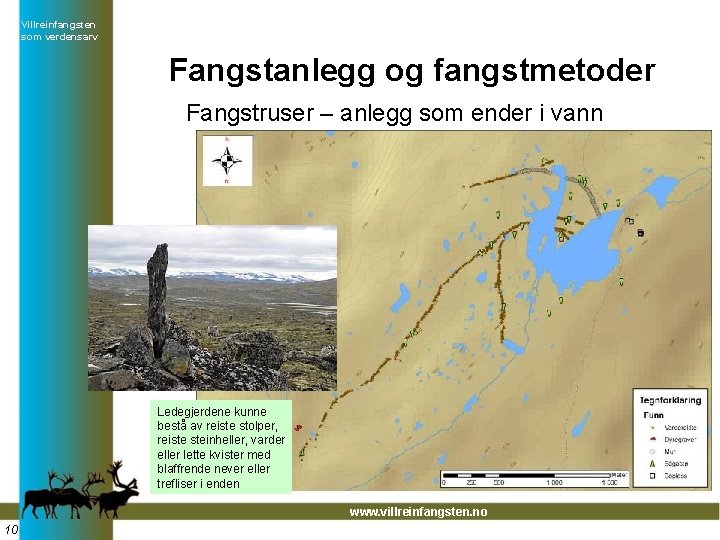 Villreinfangsten som verdensarv Fangstanlegg og fangstmetoder Fangstruser – anlegg som ender i vann Ledegjerdene