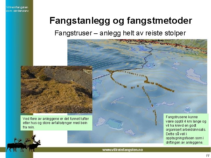 Villreinfangsten som verdensarv Fangstanlegg og fangstmetoder Fangstruser – anlegg helt av reiste stolper Fangstrusene