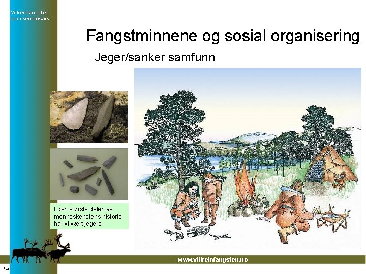 Villreinfangsten som verdensarv Fangstminnene og sosial organisering Jeger/sanker samfunn I den største delen av