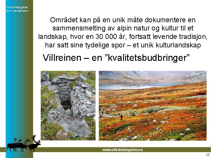 Villreinfangsten som verdensarv Området kan på en unik måte dokumentere en sammensmelting av alpin