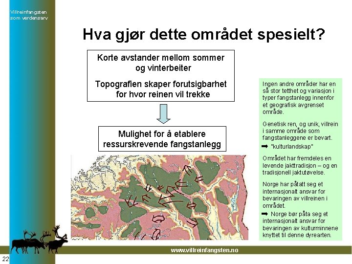 Villreinfangsten som verdensarv Hva gjør dette området spesielt? Korte avstander mellom sommer og vinterbeiter