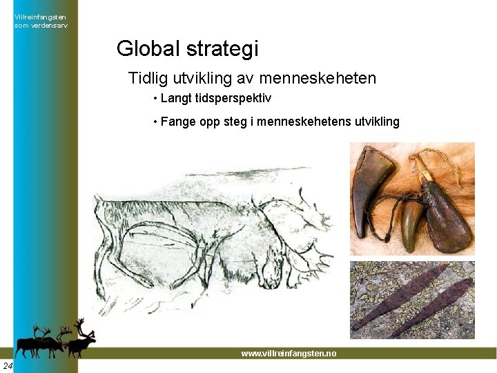 Villreinfangsten som verdensarv Global strategi Tidlig utvikling av menneskeheten • Langt tidsperspektiv • Fange