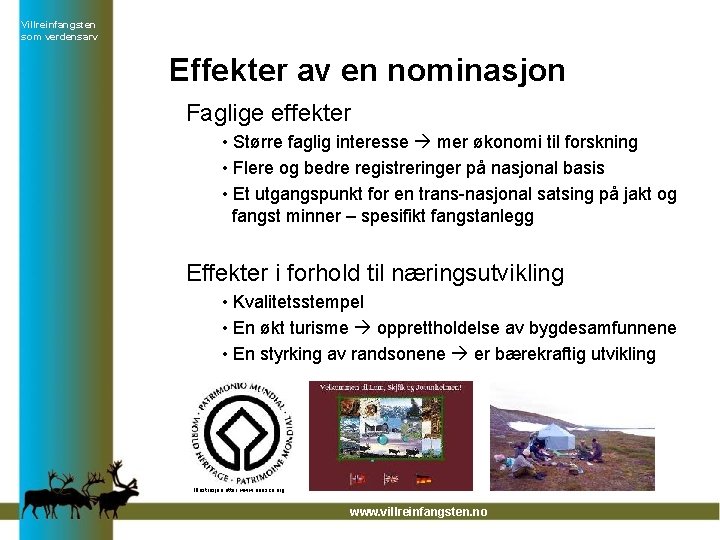 Villreinfangsten som verdensarv Effekter av en nominasjon Faglige effekter • Større faglig interesse mer