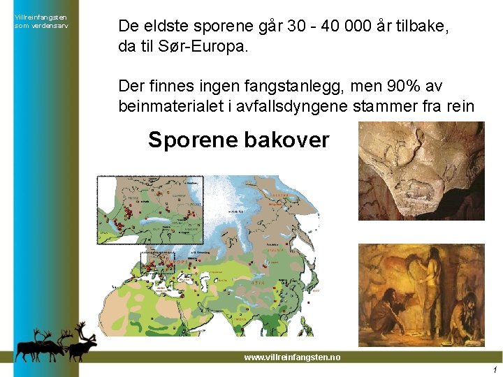 Villreinfangsten som verdensarv De eldste sporene går 30 - 40 000 år tilbake, da