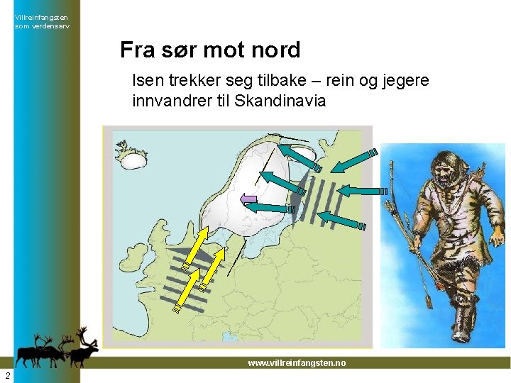 Villreinfangsten som verdensarv Fra sør mot nord Isen trekker seg tilbake – rein og