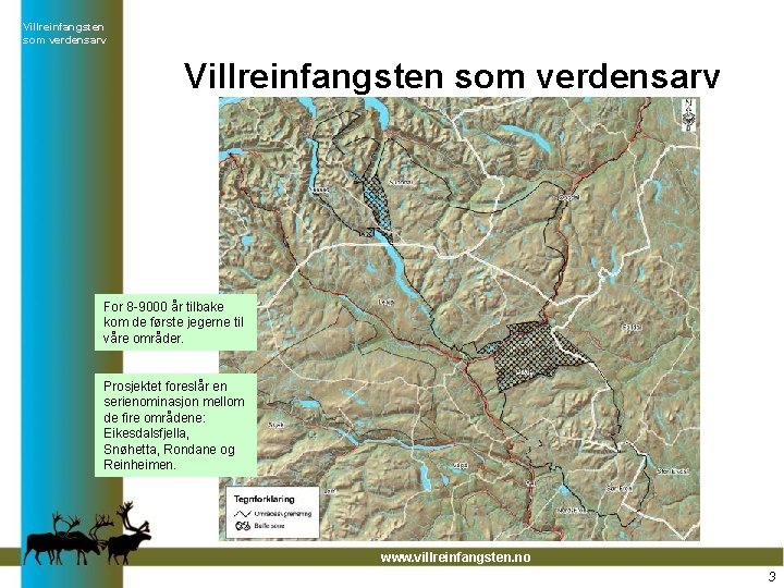 Villreinfangsten som verdensarv For 8 -9000 år tilbake kom de første jegerne til våre