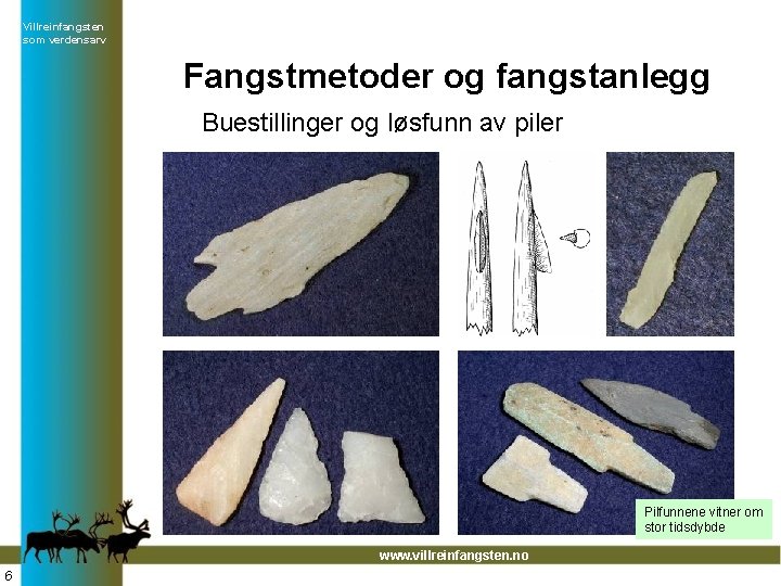 Villreinfangsten som verdensarv Fangstmetoder og fangstanlegg Buestillinger og løsfunn av piler Pilfunnene vitner om