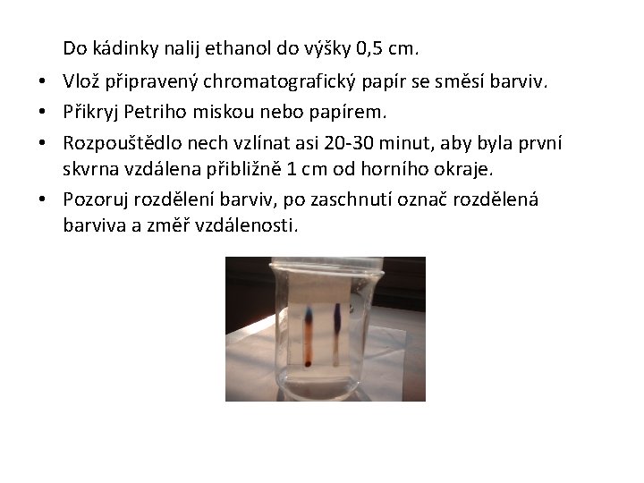 Do kádinky nalij ethanol do výšky 0, 5 cm. • Vlož připravený chromatografický papír