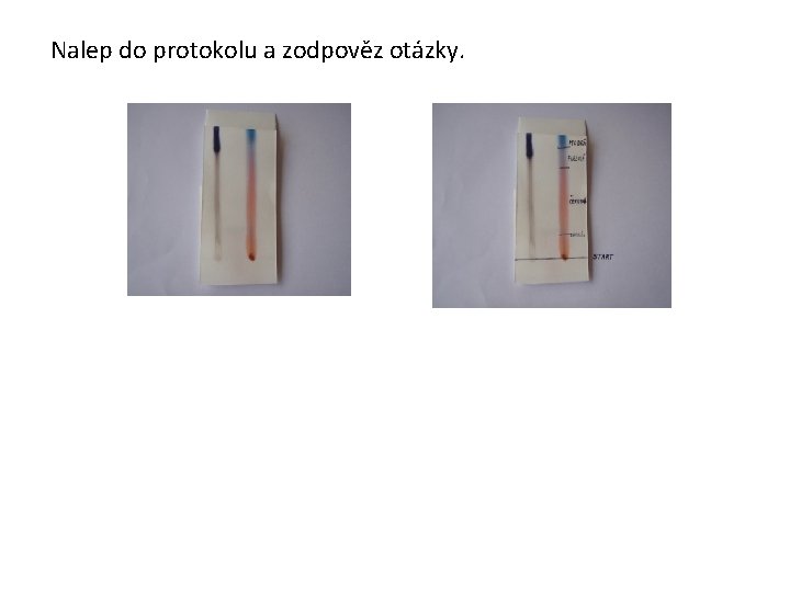 Nalep do protokolu a zodpověz otázky. 