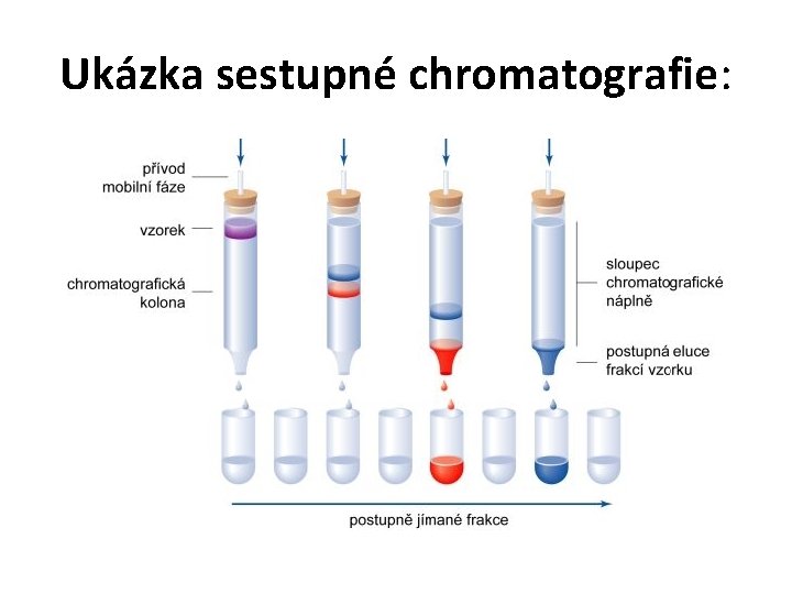 Ukázka sestupné chromatografie: 