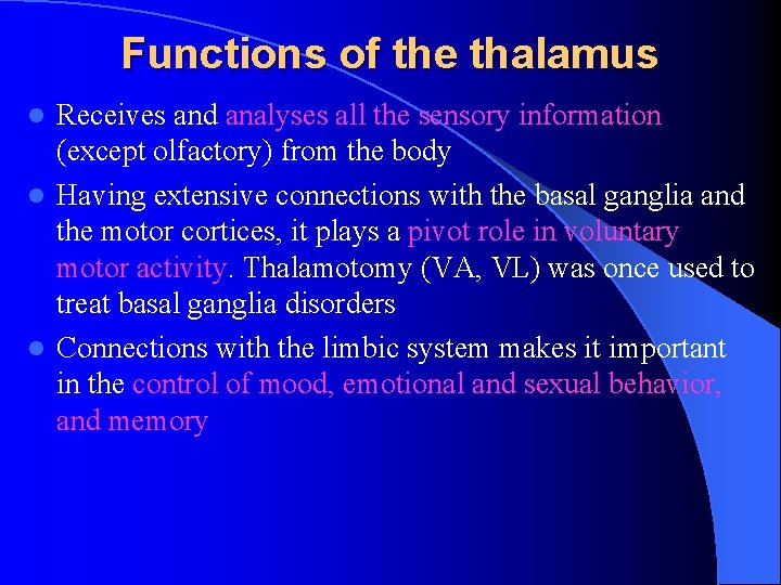 Functions of the thalamus Receives and analyses all the sensory information (except olfactory) from