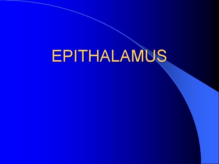 EPITHALAMUS 