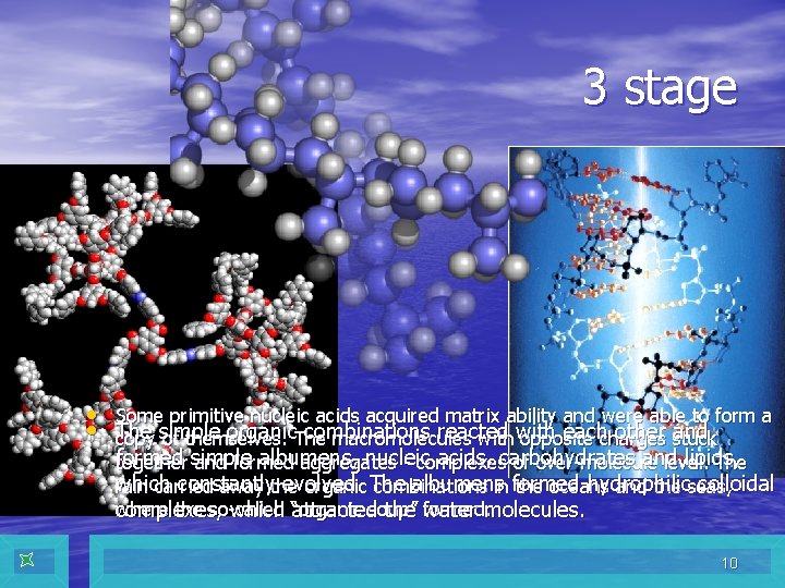 3 stage • Some primitive nucleic acids acquired matrix ability and were able to