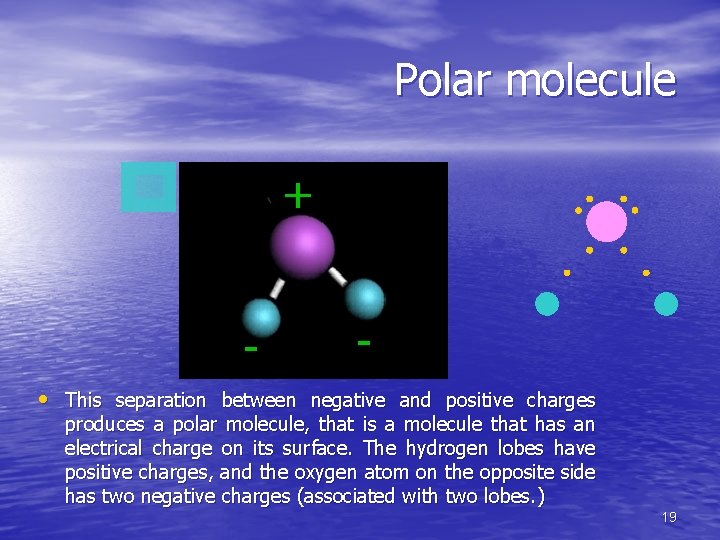 Polar molecule + - - • This separation between negative and positive charges produces