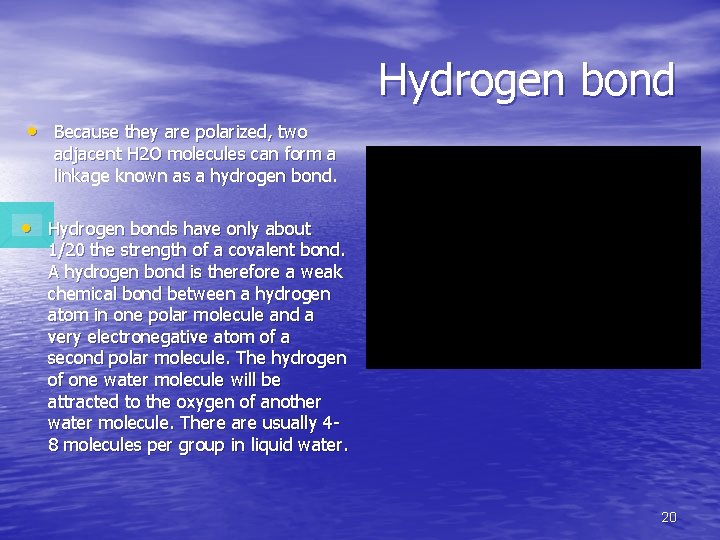 Hydrogen bond • Because they are polarized, two adjacent H 2 O molecules can