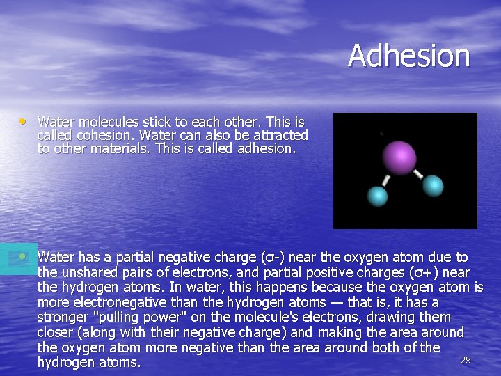 Adhesion • Water molecules stick to each other. This is called cohesion. Water can