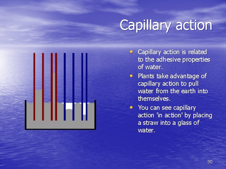 Capillary action • Capillary action is related • • to the adhesive properties of