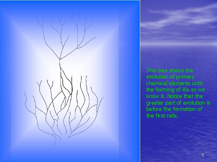 This tree shows the evolution of primary chemical elements until the forming of life