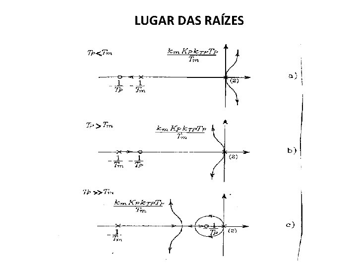 LUGAR DAS RAÍZES 