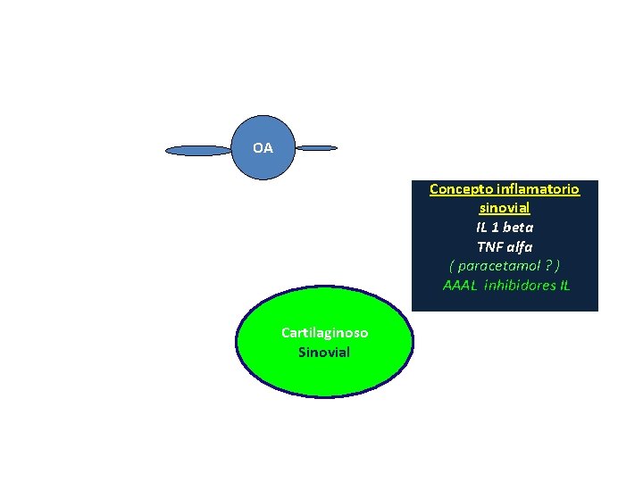OA Concepto inflamatorio sinovial IL 1 beta TNF alfa ( paracetamol ? ) AAAL