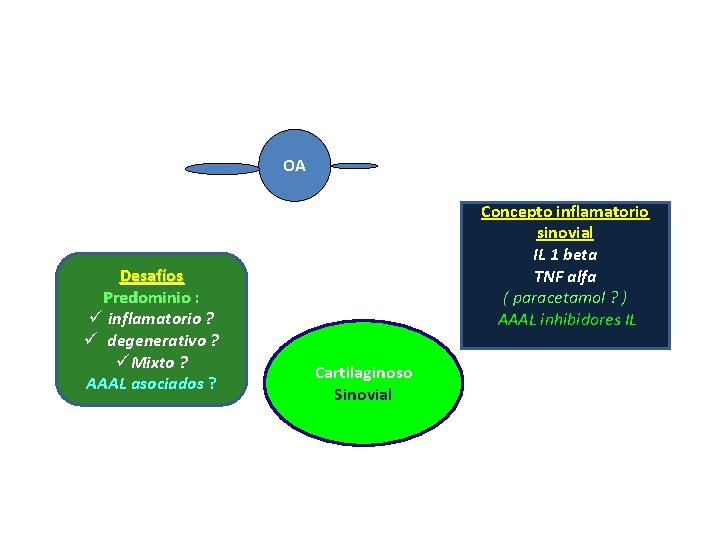 OA Desafíos Predominio : ü inflamatorio ? ü degenerativo ? üMixto ? AAAL asociados