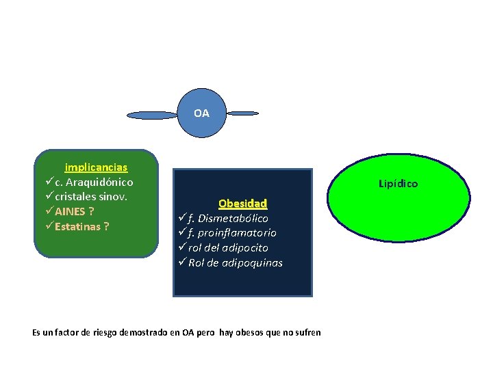 OA implicancias üc. Araquidónico ücristales sinov. üAINES ? üEstatinas ? Lipídico Obesidad üf. Dismetabólico