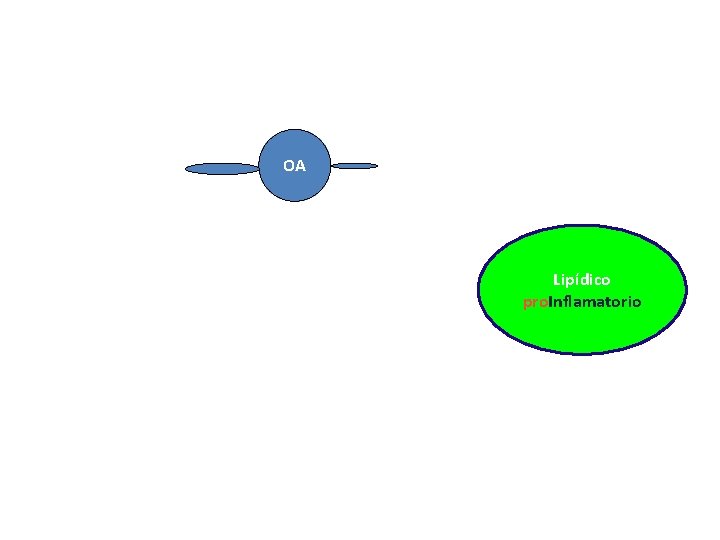 OA Lipídico pro. Inflamatorio 