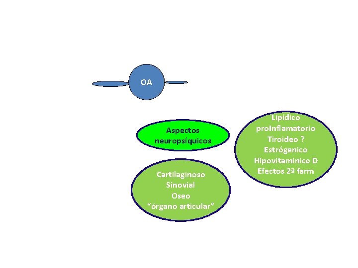 OA Aspectos neuropsíquicos Cartilaginoso Sinovial Oseo “órgano articular” Lipídico pro. Inflamatorio Tiroideo ? Estrógenico