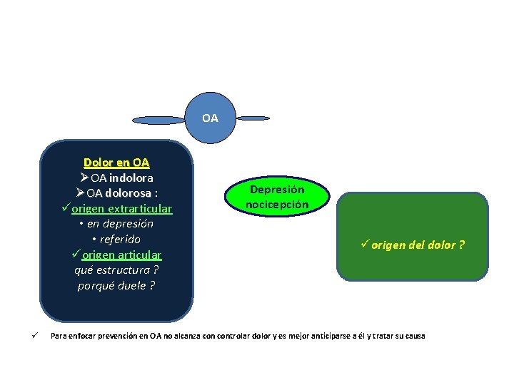 OA Dolor en OA ØOA indolora ØOA dolorosa : OA dolorosa üorigen extrarticular •