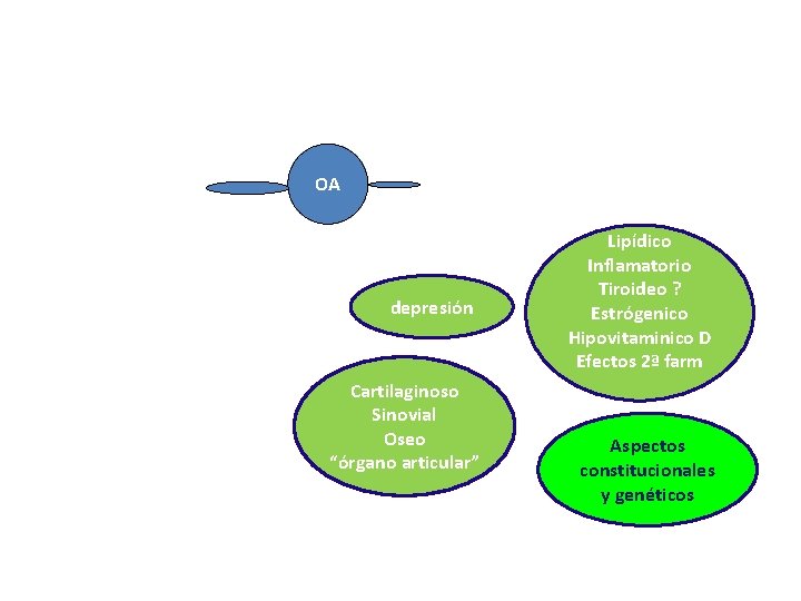 OA depresión Cartilaginoso Sinovial Oseo “órgano articular” Lipídico Inflamatorio Tiroideo ? Estrógenico Hipovitaminico D