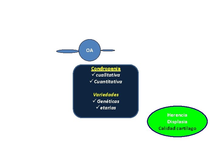 OA Condropenia ücualitativa üCuantitativa Variedades üGenéticas üetarias Herencia Displasia Calidad cartílago 