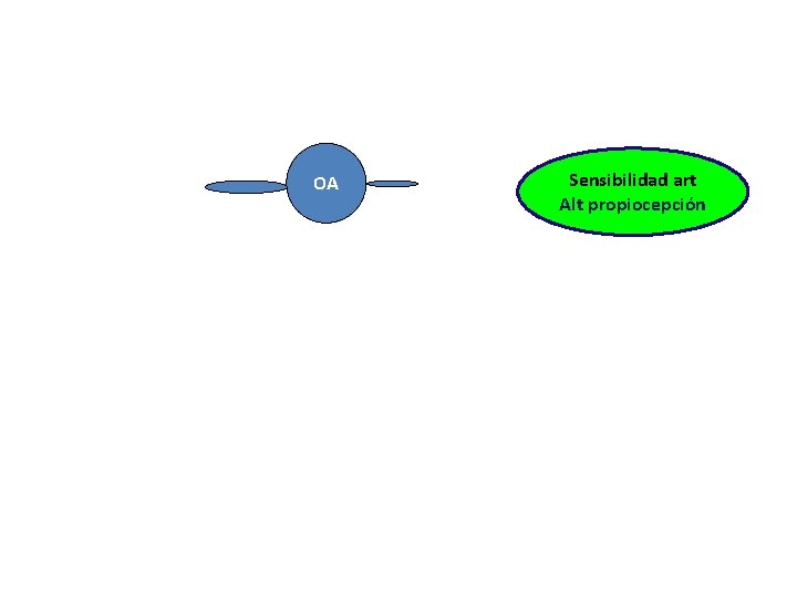 OA Sensibilidad art Alt propiocepción 