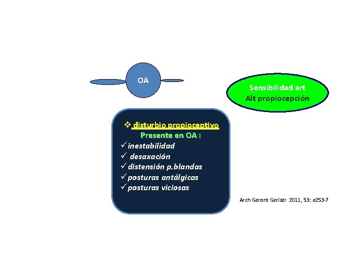 OA Sensibilidad art Alt propiocepción v disturbio propioceptivo Presente en OA : üinestabilidad ü