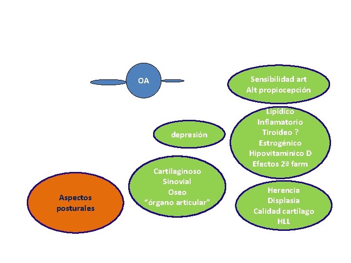 Sensibilidad art Alt propiocepción OA depresión Aspectos posturales Cartilaginoso Sinovial Oseo “órgano articular” Lipídico