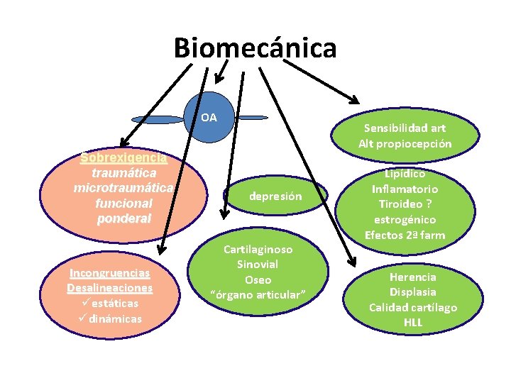 Biomecánica OA Sobrexigencia traumática microtraumática funcional ponderal Incongruencias Desalineaciones üestáticas üdinámicas Sensibilidad art Alt