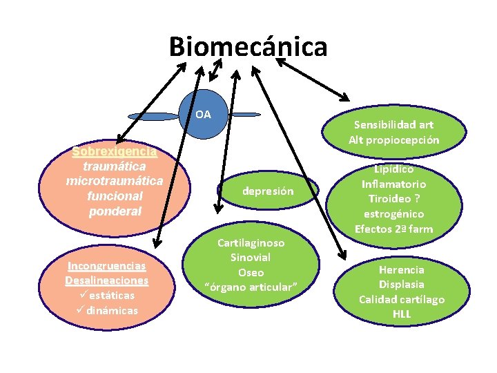 Biomecánica OA Sobrexigencia traumática microtraumática funcional ponderal Incongruencias Desalineaciones üestáticas üdinámicas Sensibilidad art Alt