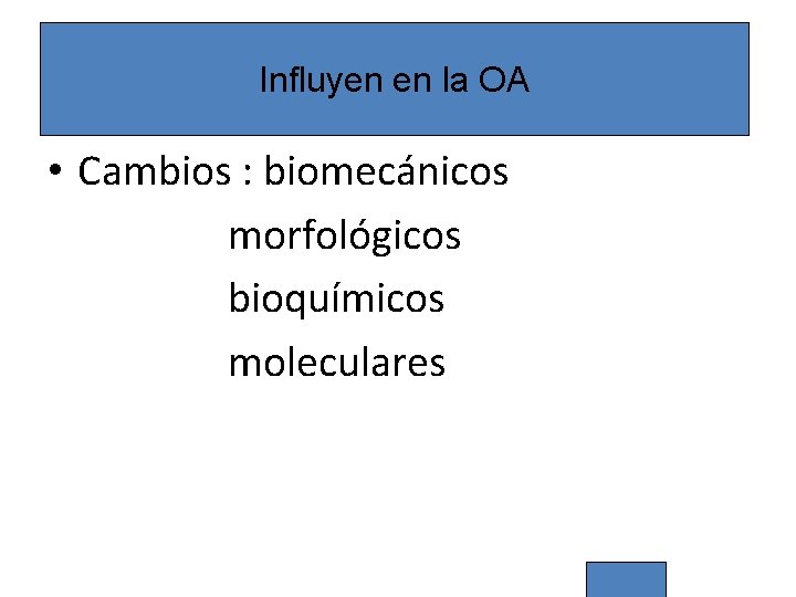 Influyen en la OA • Cambios : biomecánicos morfológicos bioquímicos moleculares 