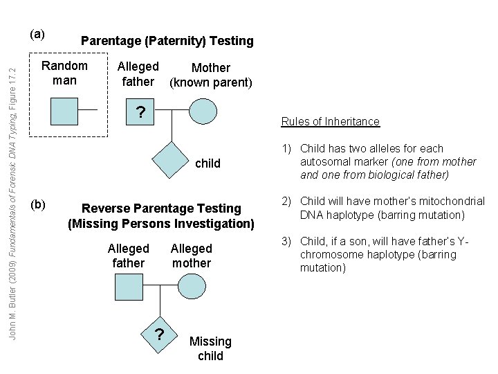 John M. Butler (2009) Fundamentals of Forensic DNA Typing, Figure 17. 2 (a) Parentage