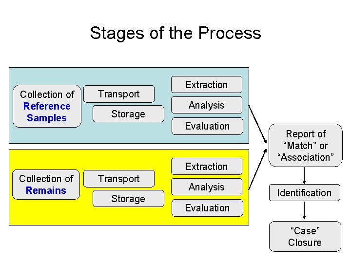 Stages of the Process Collection of Reference Samples Transport Storage Extraction Analysis Evaluation Extraction
