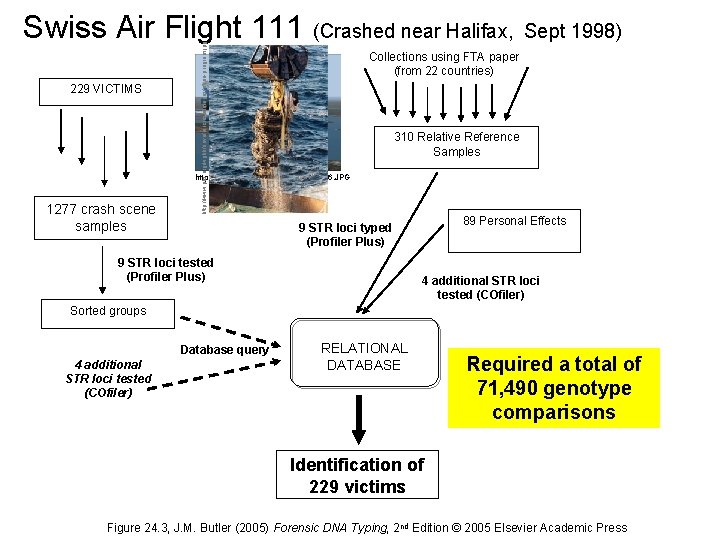 229 VICTIMS http: //www. pbs. org/wgbh/nova/aircrash/images/abou-program. jpg Swiss Air Flight 111 (Crashed near Halifax,